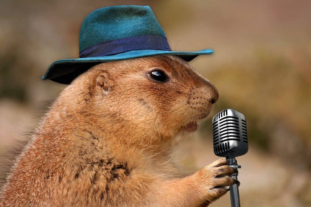 prairie dog, singing, musical rodent-1470659.jpg